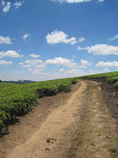  &ndash;                                 &ndash; 02-Nov-2009