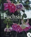 [Fuchsia havens ballerina[3].jpg]