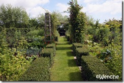 IMG_5208 IMG_5208