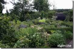IMG_5204 IMG_5204