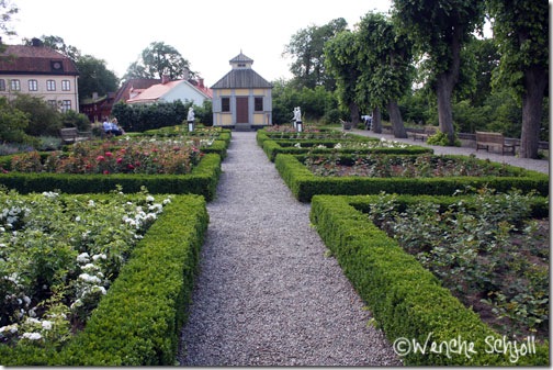 Rosengården3 Rosengården3