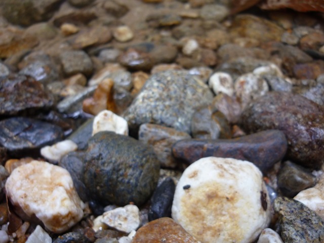 [P104056214.jpg]