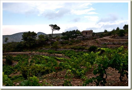 DSC_6008-Edit