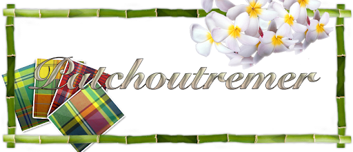 pPatchoutremer"
