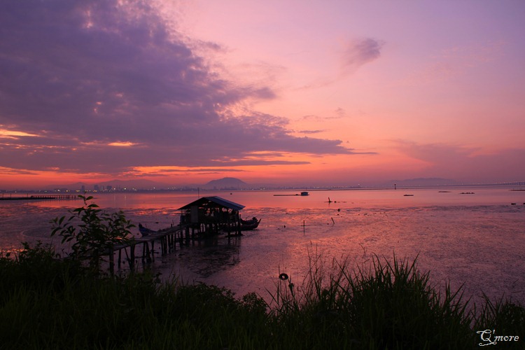 IMG_3408 IMG_3408