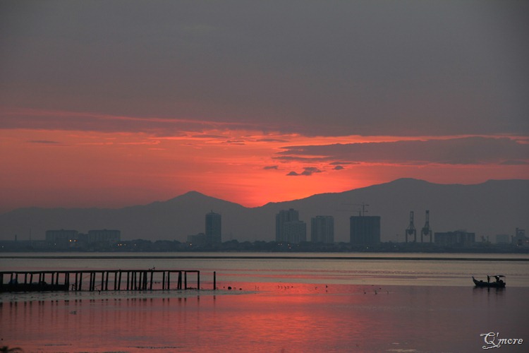 IMG_3447 IMG_3447