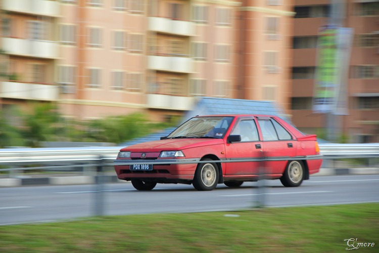IMG_3586 IMG_3586