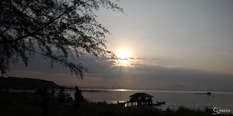 IMG_3624 IMG_3624