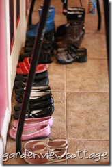 IMG_9009 IMG_9009