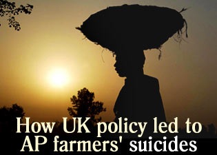 [farmers suicide dec[3].jpg]