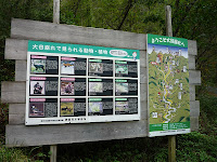 P1060245.JPG Photo