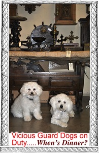 [Record Shipments 6[12].jpg]