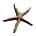 [seastar9[3].png]