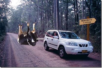 cow_towing