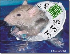 commons_rat[7]