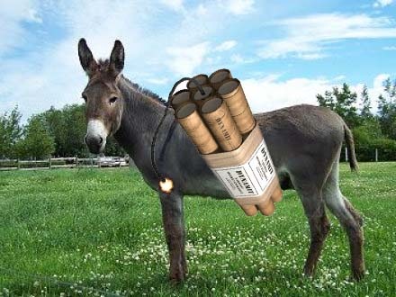 [donkey_bomb[4].jpg]