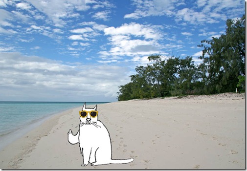 beach