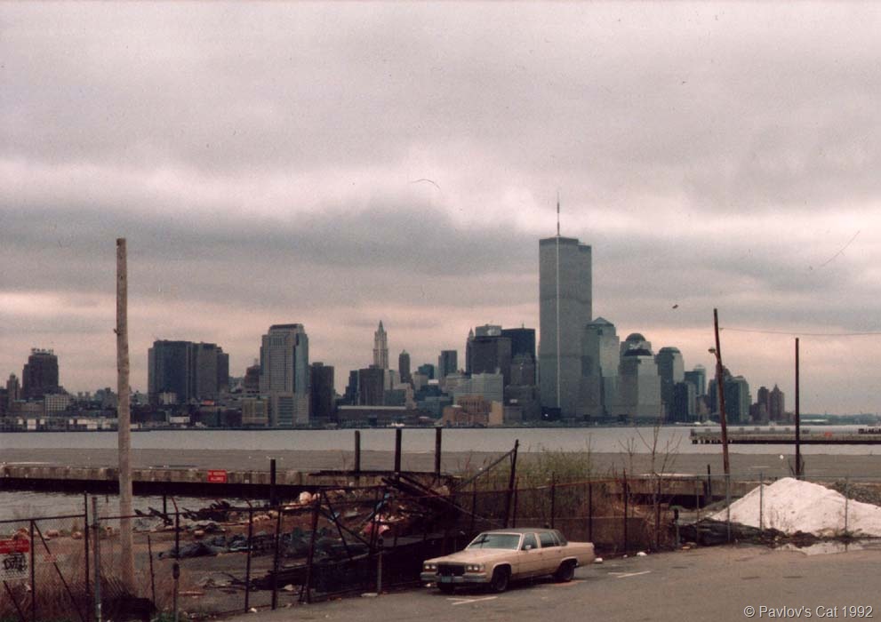 [new york blog[7].jpg]