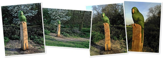 View Parakeet Statue