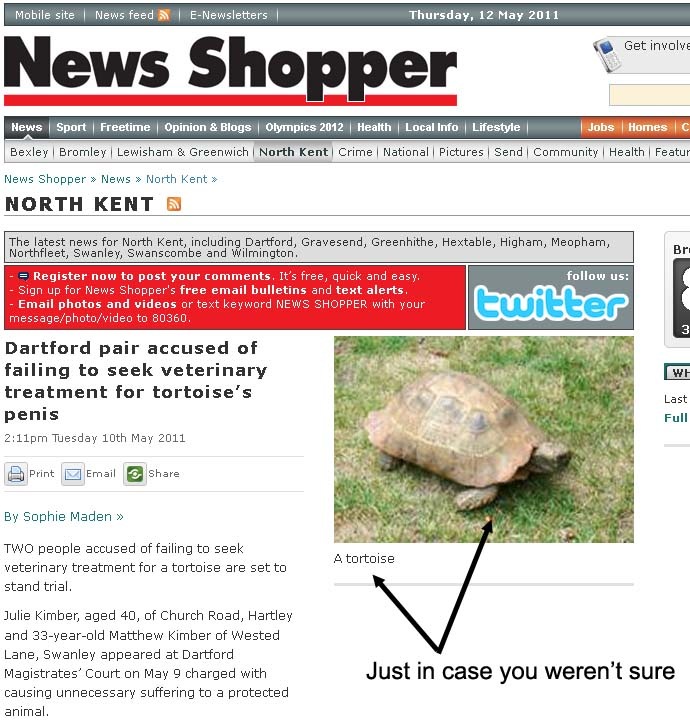 [tortoise[1].jpg]