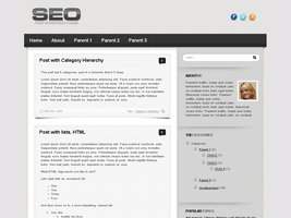 SEO Theme