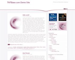 TNT Purple Shade