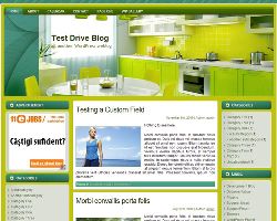 Kitchen WP Theme