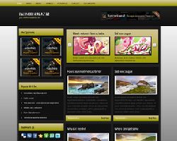 Palinoti Magazine