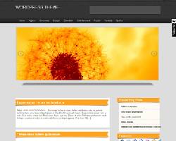 ElegantYellow WordPress Theme  