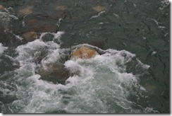 IMG_0068