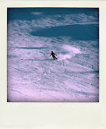 IMG_0934-pola.jpg