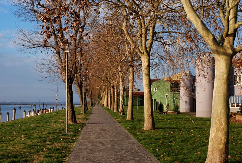 Mazzorbo_06.jpg