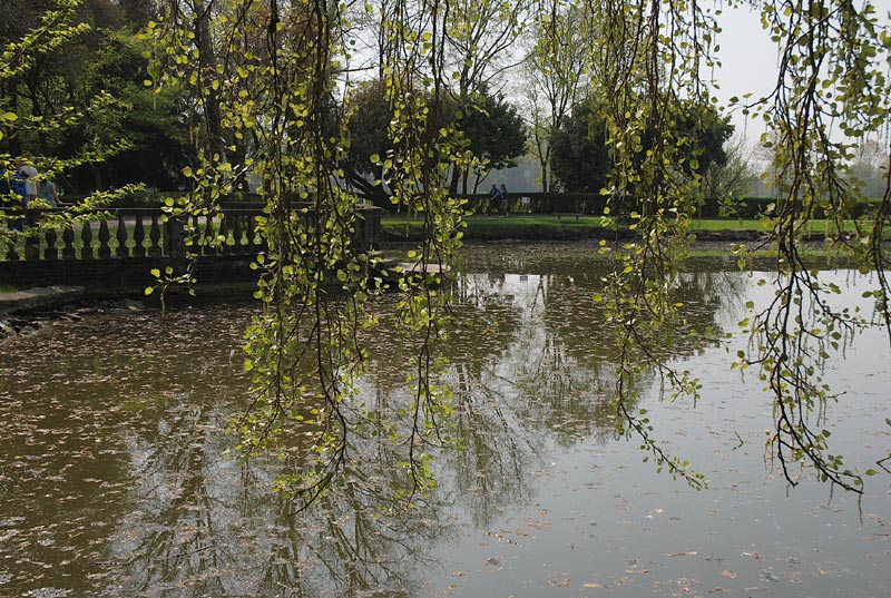 Giardino_08.jpg