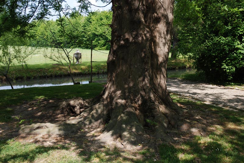 Giardino_25.jpg