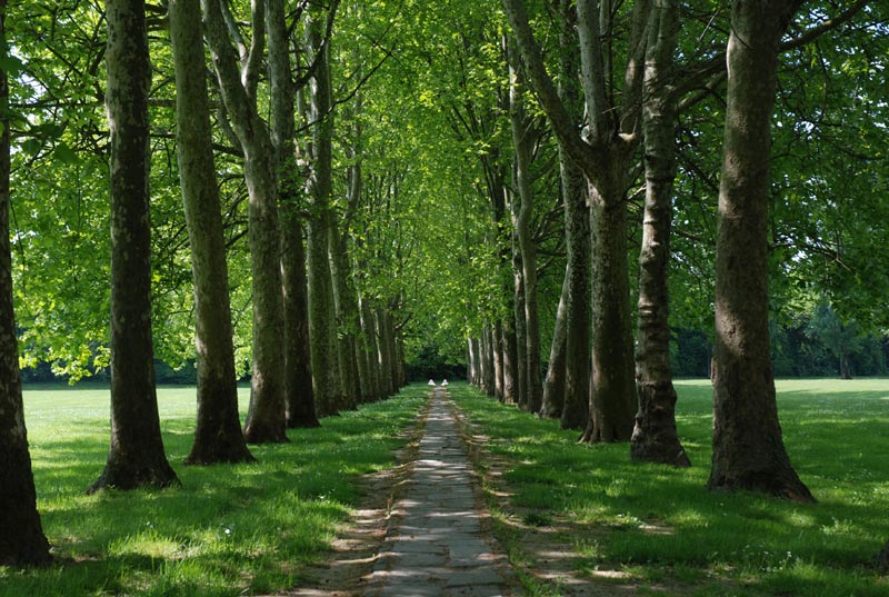 Giardino_44.jpg