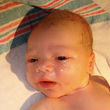 Introducing Jeremiah Steven Jeantet!