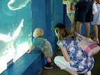At the aquarium with Courtney &amp; Daniel