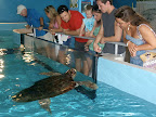 At the aquarium with our friends from DE