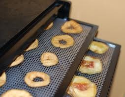 [dehydrator_apples[5].jpg]