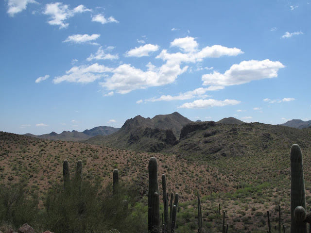 IMG_1410.JPG