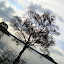 DSC05367.JPG