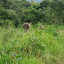 DSC05405.JPG