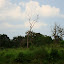 DSC05397.JPG