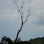DSC05401.JPG