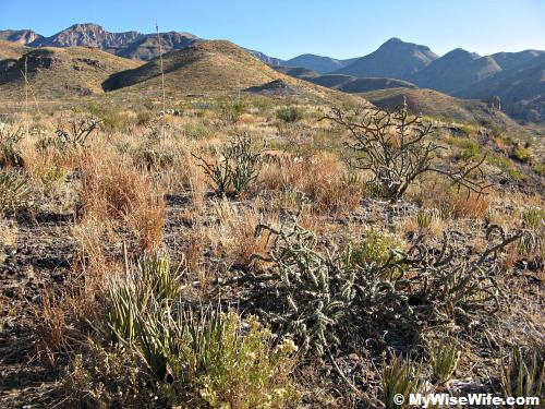 Cross country trails from here may take one to Chisos Basin Cross country trails from here may take one to Chisos Basin