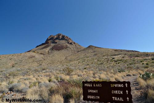 A few trailheads start here