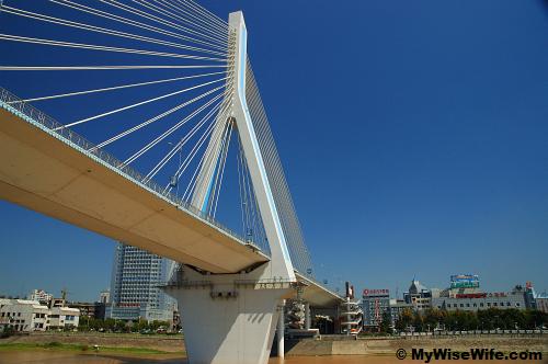 The huge bridge above us