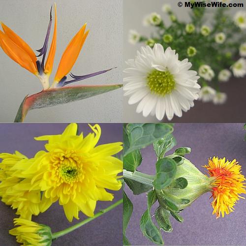 Floral Material for Everlasting Joy Floral Material for Everlasting Joy