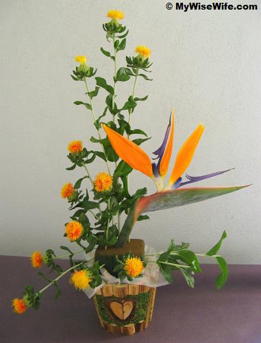 Safflowers and Bird of Paradise Safflowers and Bird of Paradise
