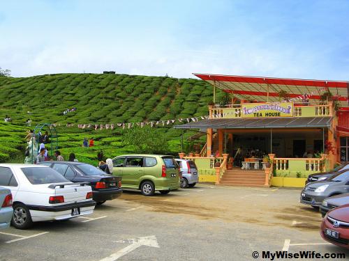 Cameron Valley Tea House is located after Kuala Terla town Cameron Valley Tea House is located after Kuala Terla town